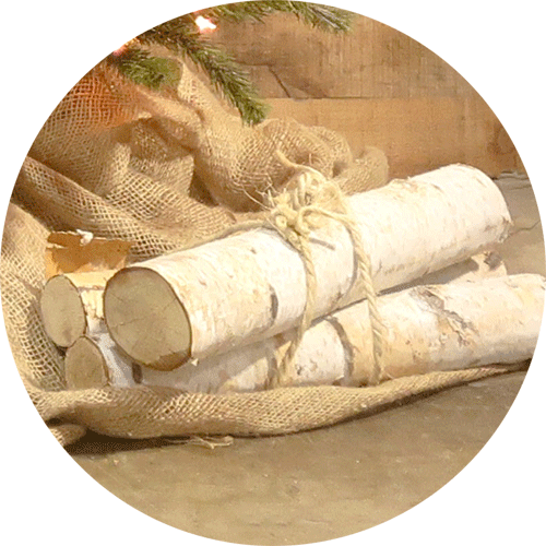 A bundle of cut birch logs wraped with twine.